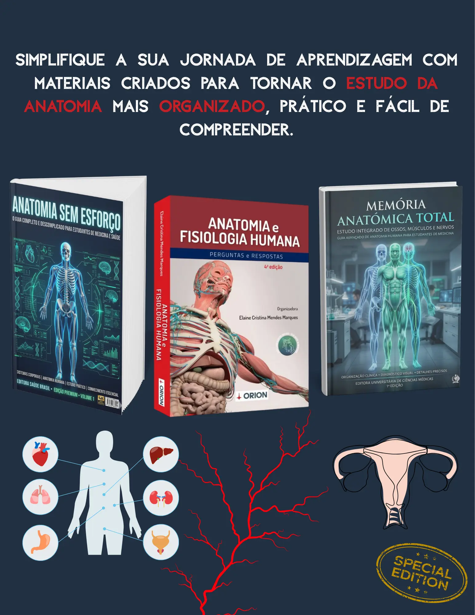 Cabeçalho da secção